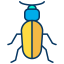 Beetle icon 64x64