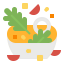 Salad icon 64x64