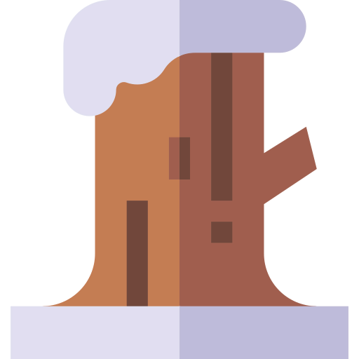 Log icône