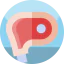 Meat icon 64x64