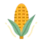 Corn icon 64x64