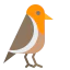 Robin icon 64x64