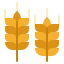 Wheat icon 64x64