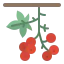 Berries icon 64x64