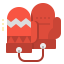Mitten icon 64x64