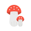 Mushroom icon 64x64
