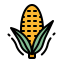 Corn icon 64x64