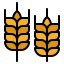 Wheat icon 64x64