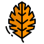 Leaf icon 64x64