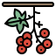 Berries icon 64x64