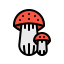 Mushroom icon 64x64