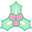 Holly icon 64x64