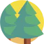 Pine tree icon 64x64