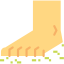Barefoot ícono 64x64
