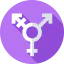 Transgender 图标 64x64