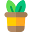 Plant icon 64x64