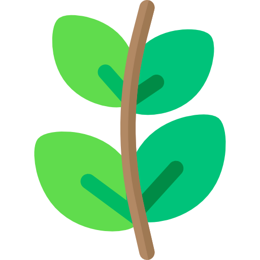 Branch 图标