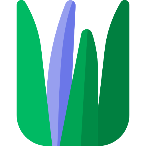 Aloe vera icon