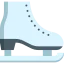 Skates icon 64x64
