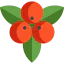 Mistletoe icon 64x64