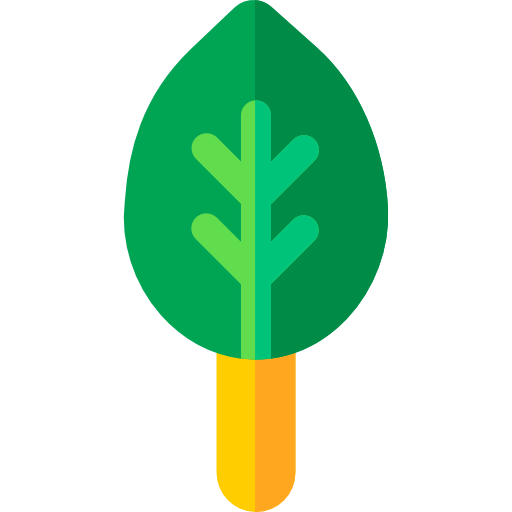 Leaf icon