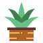 Aloe vera icon 64x64