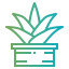 Aloe vera icon 64x64
