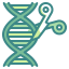 Genetic engineering icon 64x64