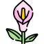 Flower icon 64x64