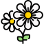 Flower icon 64x64