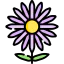 Flower icon 64x64