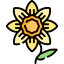 Flower icon 64x64
