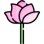 Flower icon 64x64