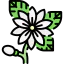 Flower icon 64x64