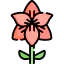 Flower icon 64x64