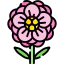 Flower icon 64x64