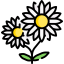 Flower icon 64x64