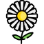 Flower icon 64x64