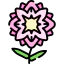 Flower icon 64x64