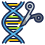 Genetic engineering icône 64x64