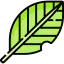 Leaf icon 64x64