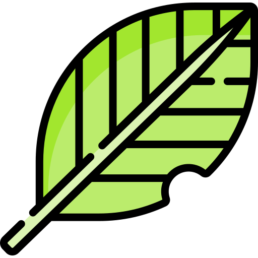 Leaf icon