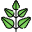 Leaf icon 64x64