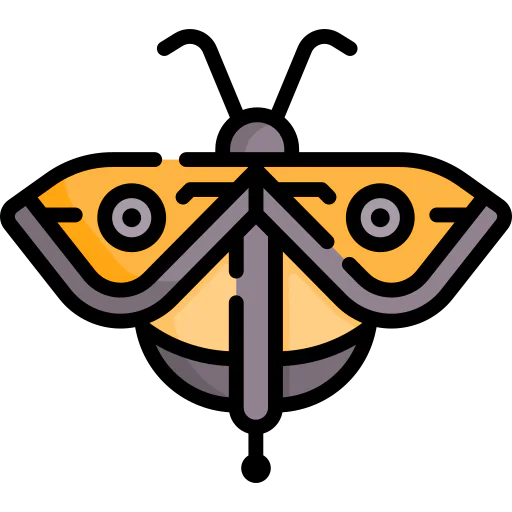 Fly icon