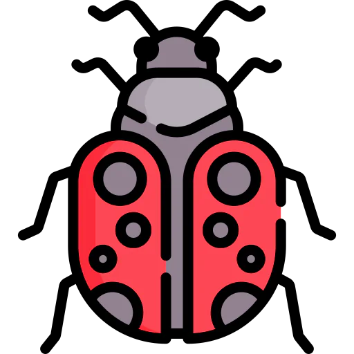 Ladybug icon