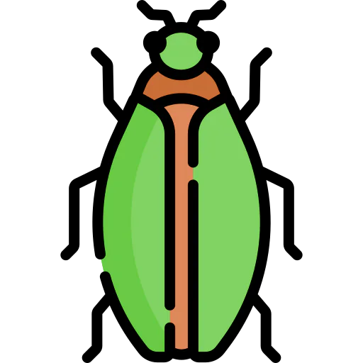 Bug icon