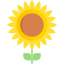 Flower 图标 64x64