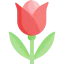 Flower 图标 64x64