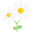 Flower 图标 64x64