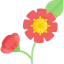 Flower 图标 64x64